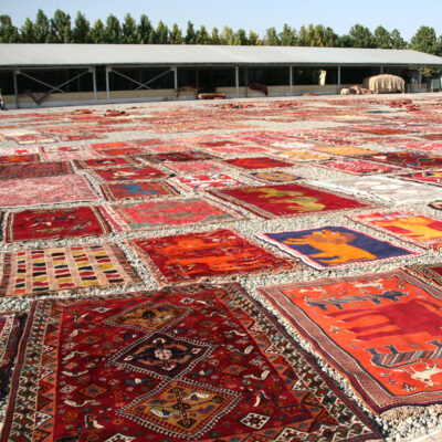 水洗いしたあと強い日差しで乾燥